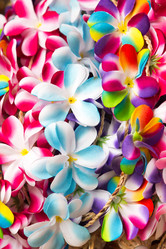 Similar image 21974203