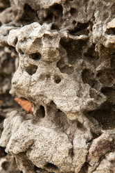 Similar image 21974224