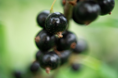 Similar image 21967488