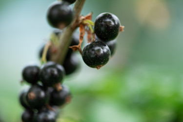 Similar image 21968917