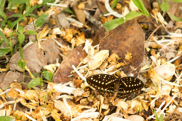 Similar image 21974230