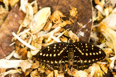 Similar image 21974232