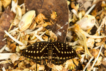 Similar image 21974233