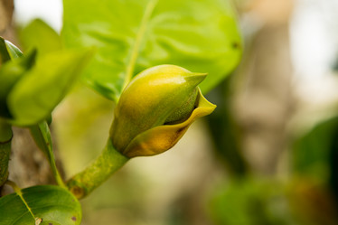 Similar image 21974234