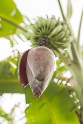 Similar image 21974236