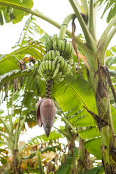 Similar image 21974237