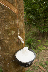 Similar image 21974241