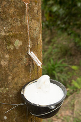 Similar image 21974396