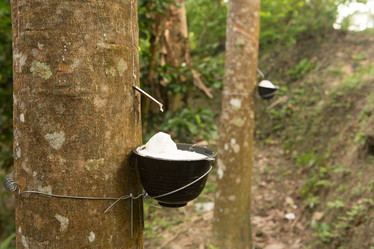 Similar image 21974399