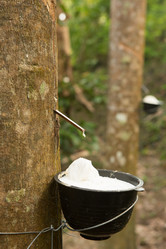 Similar image 21974400