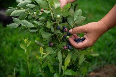 Similar image 21969220