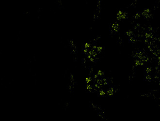 Similar image 21967926