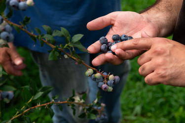 Similar image 21966613