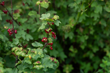 Similar image 21966934