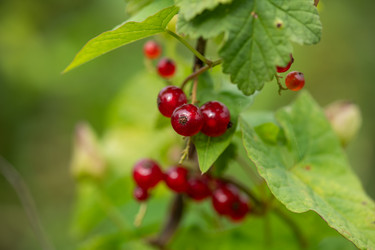 Similar image 21951153