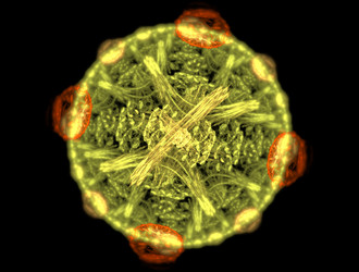 Similar image 21968343