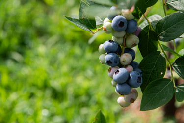 Similar image 21968920