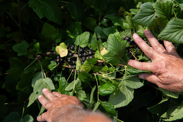 Similar image 21968923