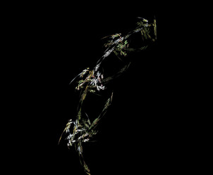 Similar image 21964584