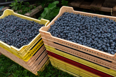 Similar image 21966282