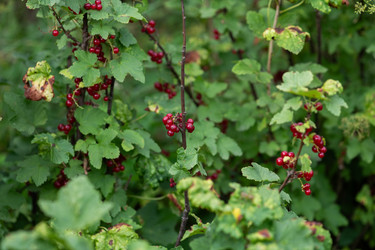 Similar image 21966964