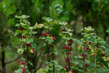 Similar image 21967102