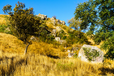 Similar image 21951322