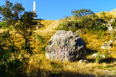 Similar image 21951323