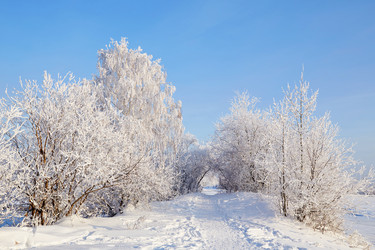 Similar image 21973595