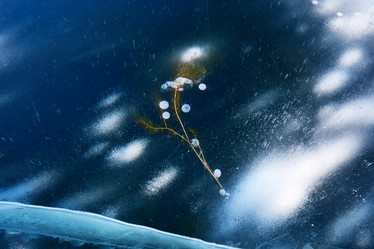 Similar image 21973359