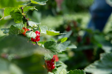 Similar image 21950454