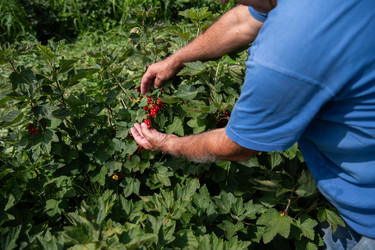 Similar image 21950765