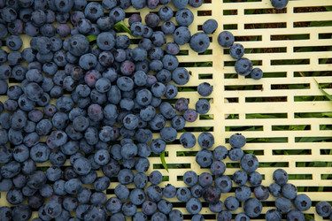 Similar image 21950778