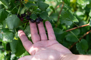 Similar image 21951177