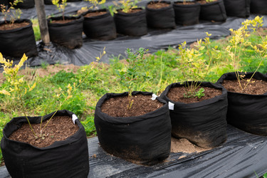 Similar image 21967063