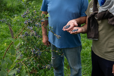 Similar image 21969085