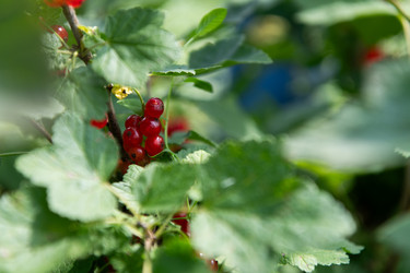 Similar image 21969221