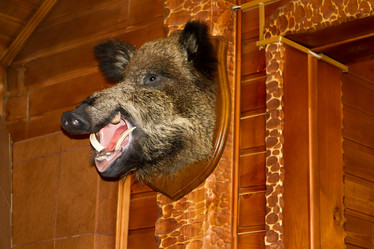 Similar image 21965268