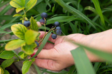 Similar image 21966973