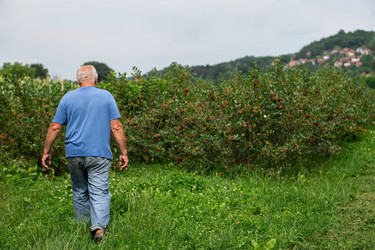 Similar image 21951194