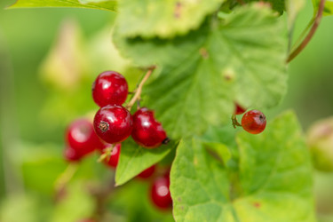 Similar image 21951198