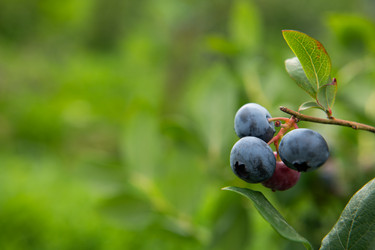 Similar image 21966457