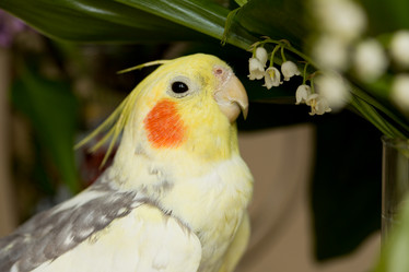 Similar image 21954859