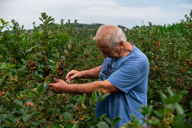 Similar image 21950457