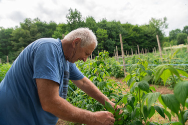 Similar image 21950458