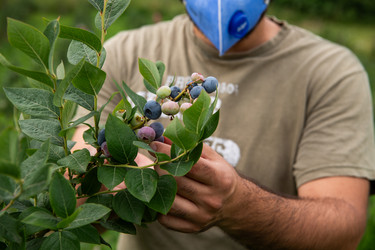 Similar image 21950460