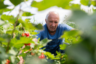 Similar image 21950462