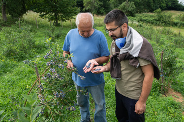 Similar image 21950795