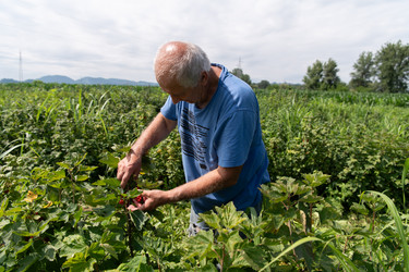 Similar image 21950798