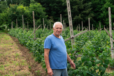 Similar image 21950804